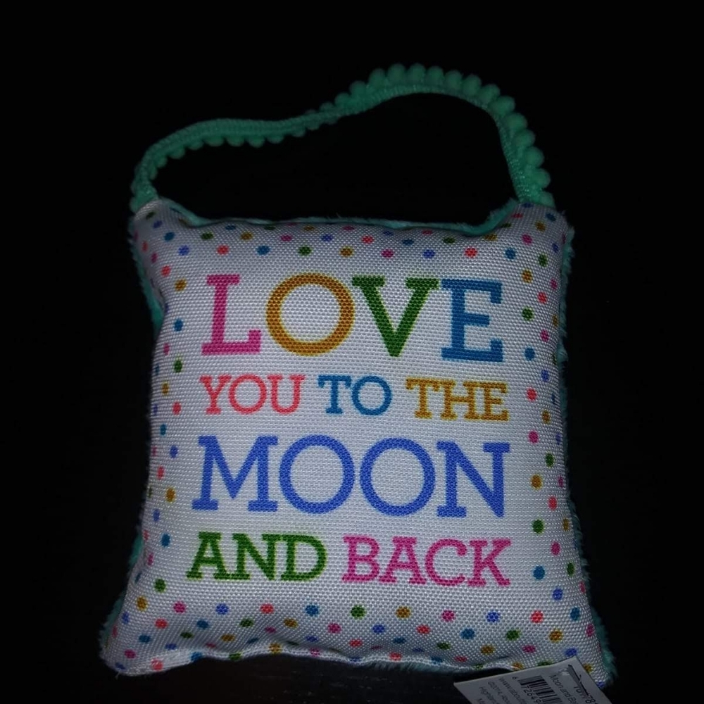 Love you to the Moon and back- door knob pillow